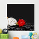 Red Flower with Leaf and Zen Stones on Wet Background Wall Mural