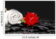Red Flower with Leaf and Zen Stones on Wet Background Wall Mural