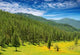 Mountain Landscape with Forest Wall Decal