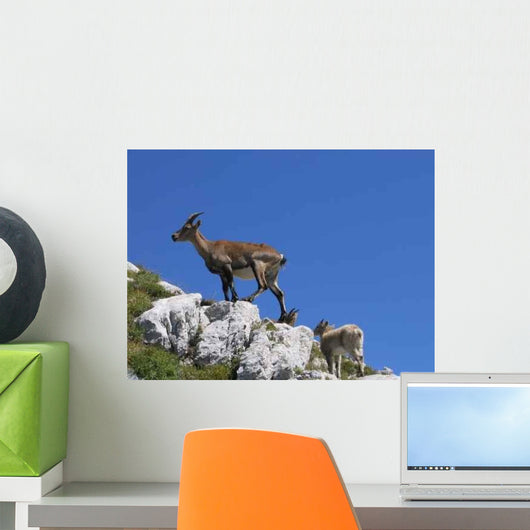 Ibex Vercors Wall Decal