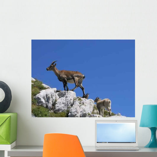 Ibex Vercors Wall Decal