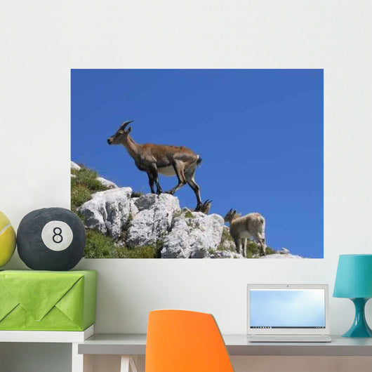 Ibex Vercors Wall Decal