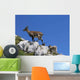 Ibex Vercors Wall Decal