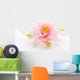 Lotus flower isolated white background Wall Mural