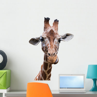 Portrait Giraffe shown on a wall