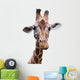 Portrait Giraffe