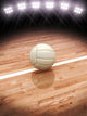 3D Rendering Volleyball Court