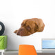 French Mastiff Dog White Wall Mural