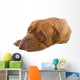 French Mastiff Dog White Wall Mural