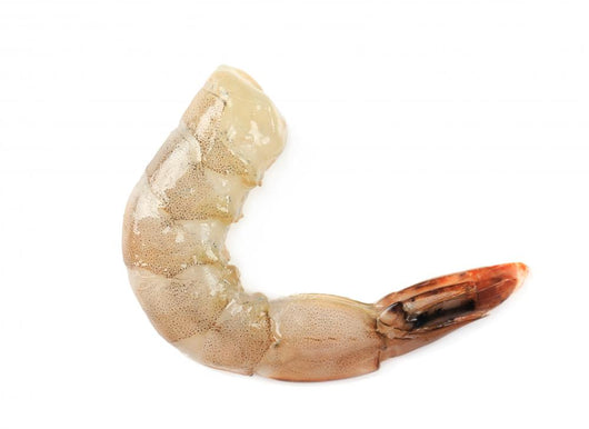Raw Shrimp Wall Decal