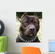 Pit Bull Terrier Wall Mural