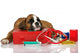 First Aid