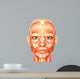 Human Anatomy - Face Wall Mural