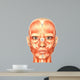 Human Anatomy - Face Wall Mural