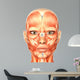 Human Anatomy - Face Wall Mural