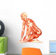 Human Anatomy Wall Decal