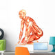 Human Anatomy Wall Decal