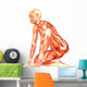 Human Anatomy Wall Decal
