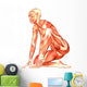 Human Anatomy Wall Decal