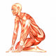 Human Anatomy Wall Decal
