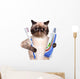 Brushing Teeth Cat