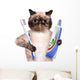 Brushing Teeth Cat