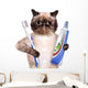 Brushing Teeth Cat