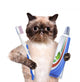 Brushing Teeth Cat