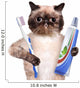 Brushing Teeth Cat
