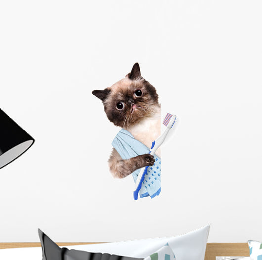 Cat Brushing Teeth Wall Decal