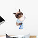 Cat Brushing Teeth Wall Decal