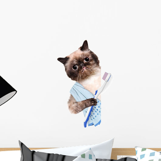 Cat Brushing Teeth Wall Decal