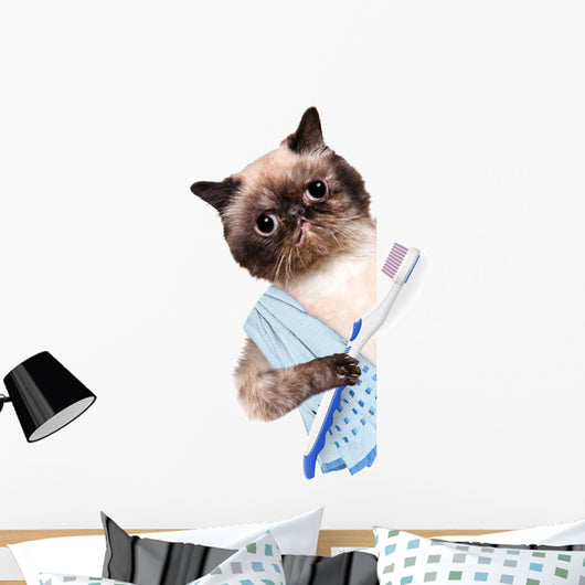 Cat Brushing Teeth Wall Decal