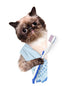 Cat Brushing Teeth Wall Decal