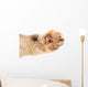 Detail of a Cat Paw Wall Decal