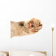 Detail of a Cat Paw Wall Decal