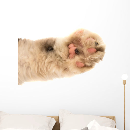Detail of a Cat Paw Wall Decal