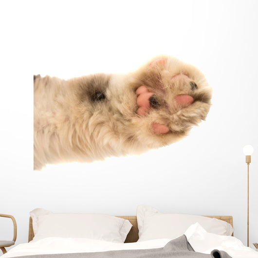 Detail of a Cat Paw Wall Decal