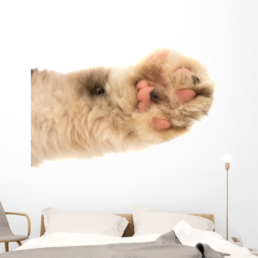 Detail of a Cat Paw Wall Decal