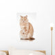Cat Elegant Pose