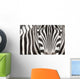 Close-up Zebra Head and