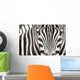 Close-up Zebra Head and