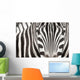Close-up Zebra Head and