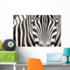 Close-up Zebra Head and