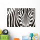 Close-up Zebra Head and