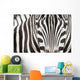 Close-up Zebra Head and