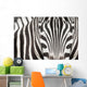 Close-up Zebra Head and