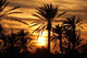 Sunset Reflection Wall Decal