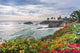 Beautiful Park Laguna Beach