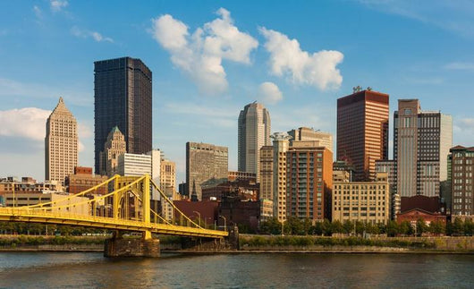 Pittsburgh Downtown Skyline River Wall Decal